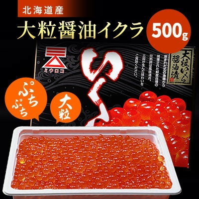 【ふるさと納税】北海道産　【大粒】醤油いくら　500g×1【配送不可地域：離島】【1468293】