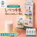 【ふるさと納税】【毎月定期便】【4ヶ月定期便】しべつ牛乳1L×4本 北海道 パックミルク 美味しい全4回【配送不可地域:離島】【4067097】