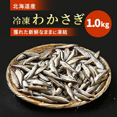 北海道産　冷凍わかさぎ 1kg【配送不可地域：離島】【1111811】