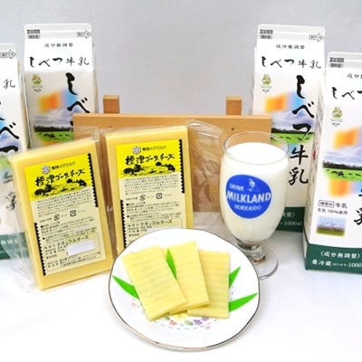 【ふるさと納税】2021年9月発送開始『定期便』しべつ牛乳1L×4本・標津ゴーダチーズ250g×2袋のセット全3回【5007585】