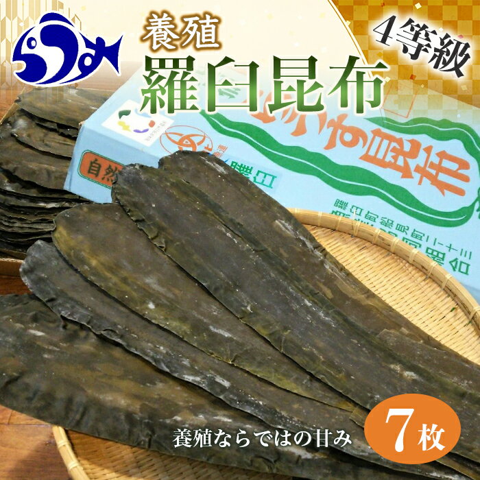 養殖4等羅臼昆布7枚セット(350g~500g)北海道 知床 羅臼産 生産者 支援 応援