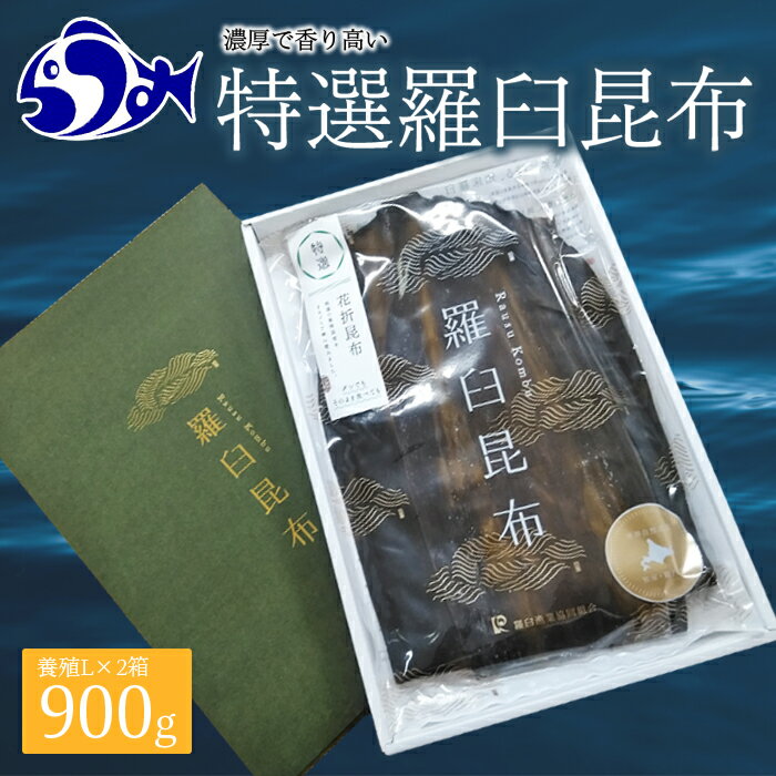 羅臼昆布 養殖 2等 900gセット(Lサイズ450g×2個) 北海道 知床 羅臼産 昆布 高級 だし 出汁 ダシ 生産者 支援 応援 F21M-260