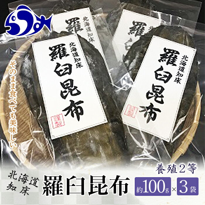 【ふるさと納税】養殖2等羅臼昆布 3個セット(1枚約100g×3袋) 生産者 支援 応援 1