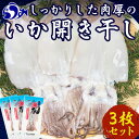 大人気！北海道知床羅臼産いかの開き干し(3枚セット) イカ 干物 肴 海産物 北海道 魚介類 冷凍 国産 BBQ バーベキュー キャンプ 炭焼 生産者 支援 応援 F22M-206