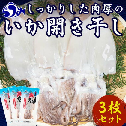 大人気！北海道知床羅臼産いかの開き干し(3枚セット) イカ 干物 肴 海産物 北海道 魚介類 冷凍 国産 BBQ バーベキュー キャンプ 炭焼 生産者 支援 応援 F22M-206