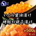 知床羅臼産 時鮭（ときしらず）の親子漬け・醤油いくらセット（計500g）イクラ しょうゆ漬け 秋サケ さけ 海鮮 魚介 海鮮丼 手巻き寿司 ご飯のお供 北海道 詰め合わせ F21M-964