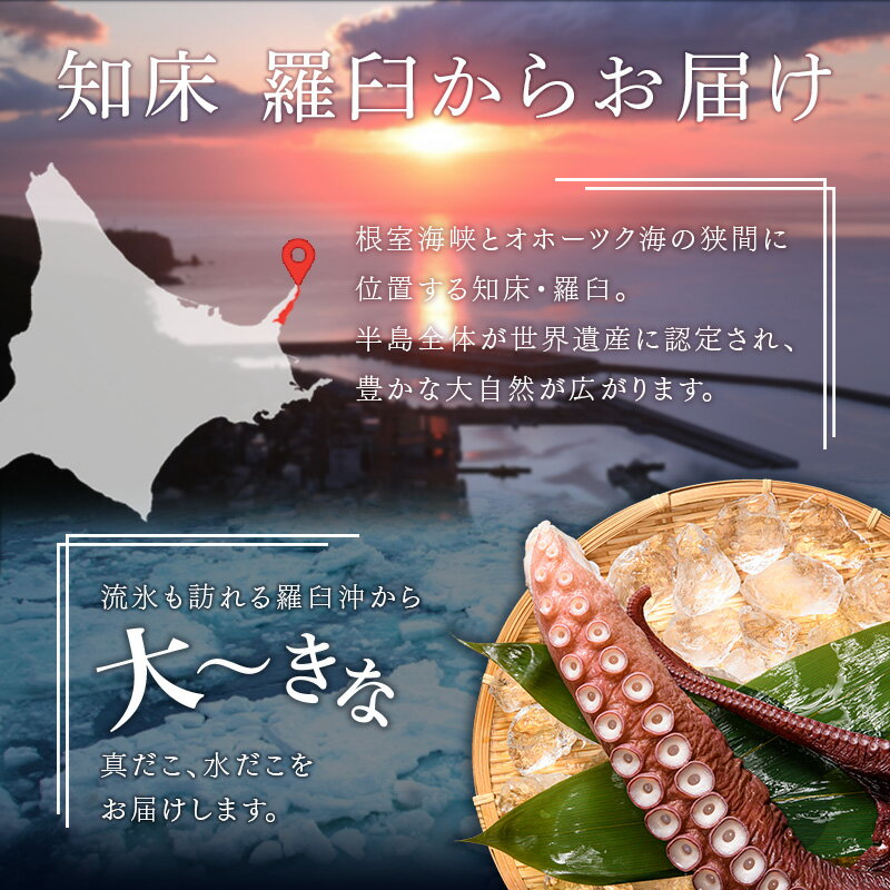 【ふるさと納税】知床羅臼産冷凍煮だこ(4本)5kg たこ 魚 北海道 海産物 魚介 魚介類 生産者 支援 応援 F22M-191