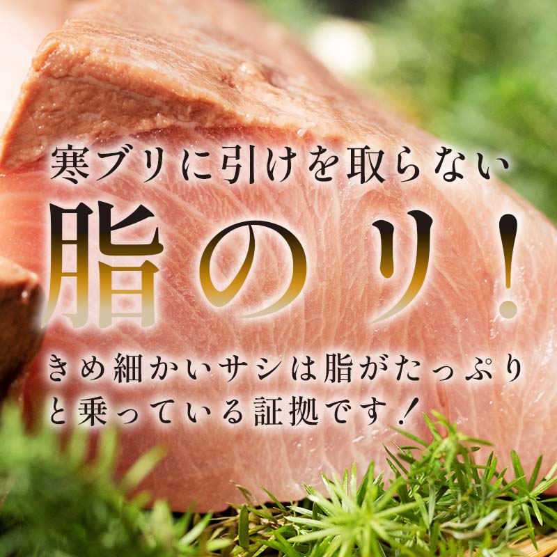 【ふるさと納税】レビューキャンペーン 実施中 容量が選べる 天然 ぶり 刺身 500g~2kg 選べる配送月 魚 海産物 魚介 魚介類 活〆 食べ応え 肉厚 真空パック 鰤丼 照り焼き ブリ 鰤 刺身 ご飯のお供 冷凍 生産者 応援 支援 F21M-955var