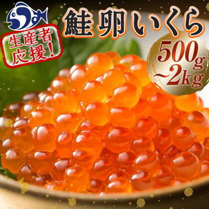 レビューキャンペーン 実施中 容量が選べる いくら （鮭卵） 500g 1kg 1.5kg 2kg 冷凍 いくら 北海道産 醤油漬け 大容量 イクラ 魚卵 海産物 生産者 応援 支援 F22M-143var