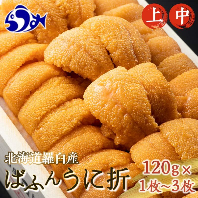 【ふるさと納税】容量と等級が選べる 羅臼産 塩水うに 上 中 100g×1枚 2枚 3枚 ふるさと納税 うに 北...