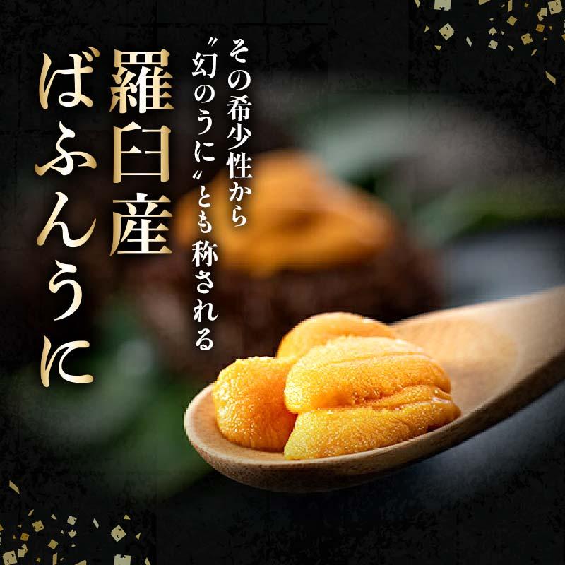 【ふるさと納税】量が選べる 羅臼産 無添加 塩水 うに 100g ～ 200g 無添加うに 上 特上 天然 エゾバフンうに ミョウバン不使用 北海道産 知床羅臼産 天然 塩水ウニ 生うに エゾバフンウニ ウニ 雲丹 刺身 海鮮丼 海産物 魚介類 冷蔵