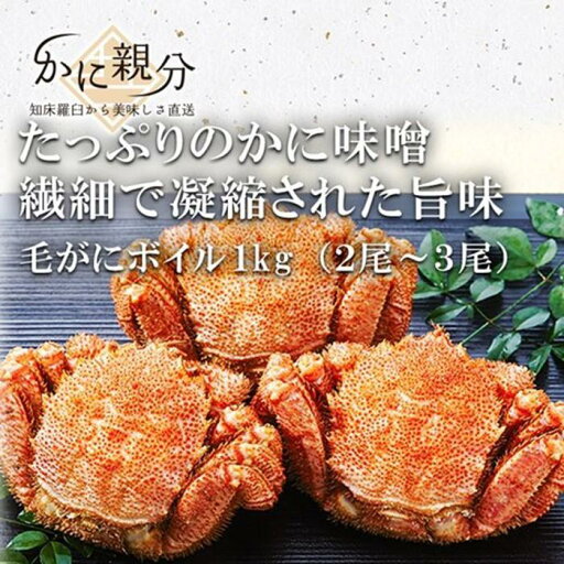 【ふるさと納税】冷凍ボイル毛ガニ 1kg(2-3尾) | 蟹 魚介類 水産 食品 人気 おすすめ 送料無料 【ふるさと納税】冷凍ボイル毛ガニ 1kg(2-3尾) | 蟹 魚介類 水産 食品 人気 おすすめ 送料無料