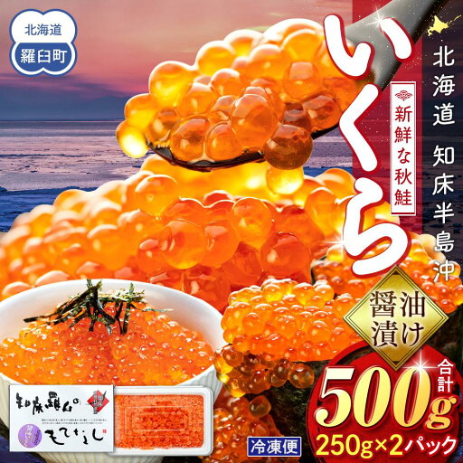 【ふるさと納税】いくら醤油漬け 500g(250g×2パック) イクラ 魚卵 いくら丼 海鮮丼 ご飯のお供 羅臼町 北海道 生産者 支援 応援 【ふるさと納税】いくら醤油漬け 500g(250g×2パック) イクラ 魚卵 いくら丼 海鮮丼 ご飯のお供 羅臼町 北海道 生産者 支援 応援