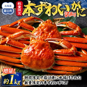 【ふるさと納税】羅臼港本ずわいがに 数量限定 増量1kg ズワイガニ かに カニ 蟹 羅臼町 北海道 魚介 生産者 支援 応援