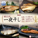 【ふるさと納税】羅臼産 一夜干し お魚4種 セット1 ほっけ開き そい 鱈 秋鮭 北海道 知床 羅臼町 生産者 支援 応援