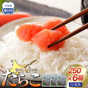 【ふるさと納税】【数量限定】お徳用知床羅臼産たらこ 約250g×6箱 | たらこ タラコ 魚 お魚 さかな 食品 加工食品 魚介類 水産 食品 人気 おすすめ 送料無料
