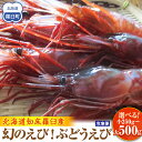 【ふるさと納税】【容量選択可】幻のぶどうえび 小・500g /20尾前後~大・500g /8~12尾前後