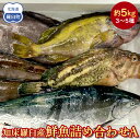【ふるさと納税】知床羅臼産 鮮魚詰め合わせA 約5kg 魚 さかな 旬の魚 鮮魚 羅臼町 北海道 生産者 支援 応援