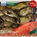 【ふるさと納税】知床羅臼産 鮮魚詰め合わせB 約5kg 魚 さかな 旬の魚 鮮魚 羅臼町 北海道 生産者 支援 応援