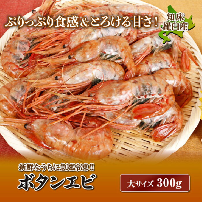 【ふるさと納税】北海道産 知床羅臼産ボタンエビ 大サイズ300g ぼたんえび ぼたん海老 魚介 北海道 海産物 魚介類 F21M-652