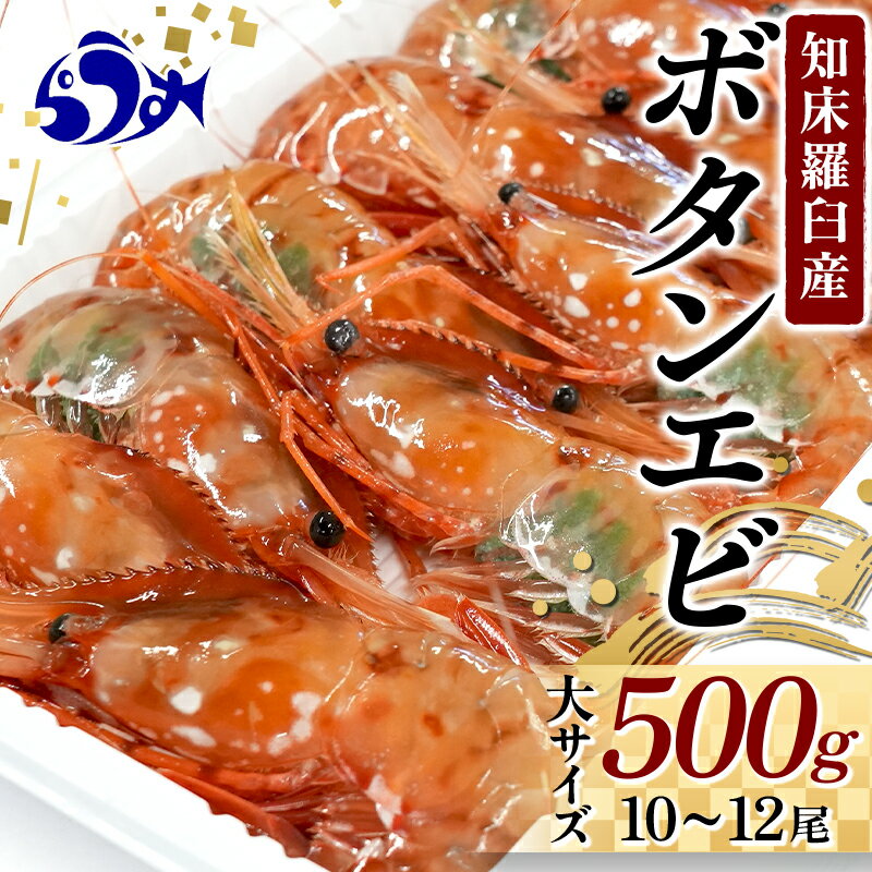 【ふるさと納税】知床羅臼産ボタンエビ 大サイズ500g 北海道 魚介 海産物 魚介類 F21M-050