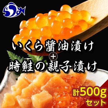 【ふるさと納税】北海道知床羅臼産 時鮭（ときしらず）の親子漬け・醤油いくらセット（計500g）魚 いくら 醤油漬け 海産物 魚介類 魚介 F21M-743