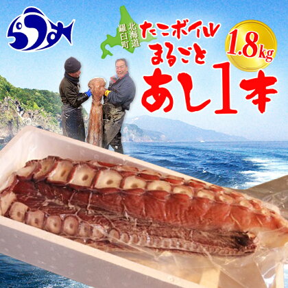 こんなでっかいタコみたことない(ボイル足1本) 北海道 知床 羅臼 海産物 魚介類 魚介 たこ 生産者 支援 応援 F21M-788