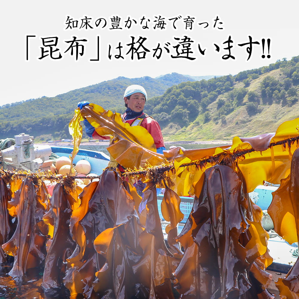 【ふるさと納税】【羅臼昆布】天神さん家の知床羅臼＜天然＞二等昆布（2枚入） 生産者 支援 応援