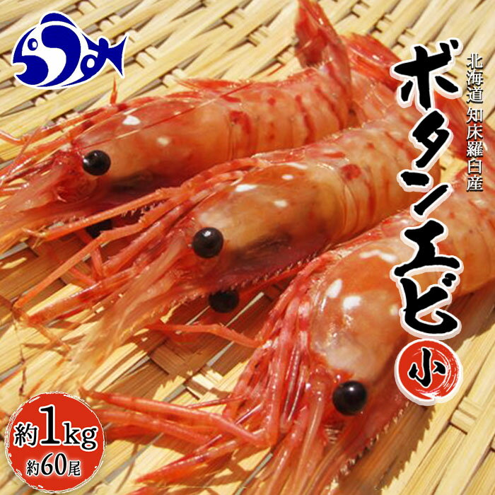 【ふるさと納税】知床羅臼ボタンエビ(小)　1kg 魚介類 北海道 海産物 魚介 F21M-314