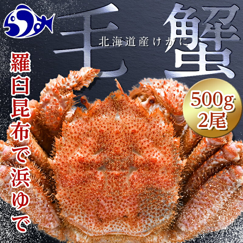 【ふるさと納税】レビューキャンペーン 実施中 北海道 知床 羅臼産毛がに 500g×2尾 毛ガニ 海産物 魚介類 魚介 毛蟹 ケガニ 毛かに 毛カニ 蟹 カニ 海産物 魚介 海鮮丼 手巻き 寿司 正月 新鮮 海鮮 豪華 生産者 支援 応援 F21M-780