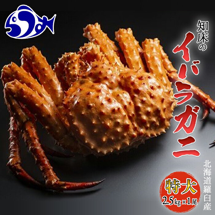 【ふるさと納税】知床イバラがに 姿(特大) いばらがに かに カニ 蟹 羅臼町 北海道産 海産物 生産者 支援 応援のサムネイル