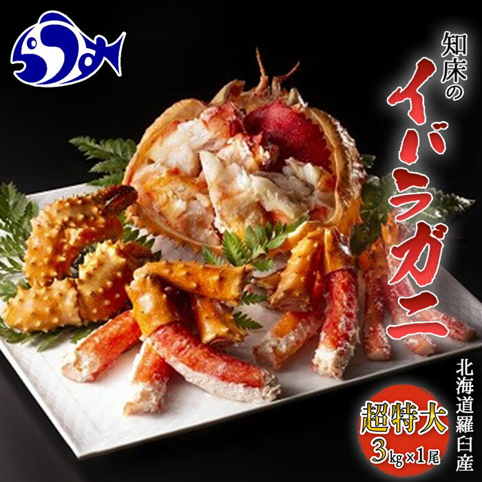 【ふるさと納税】知床イバラがに 姿(超特大) いばらがに かに カニ 蟹 羅臼町 北海道産 海産物 生産者 支援 応援のサムネイル
