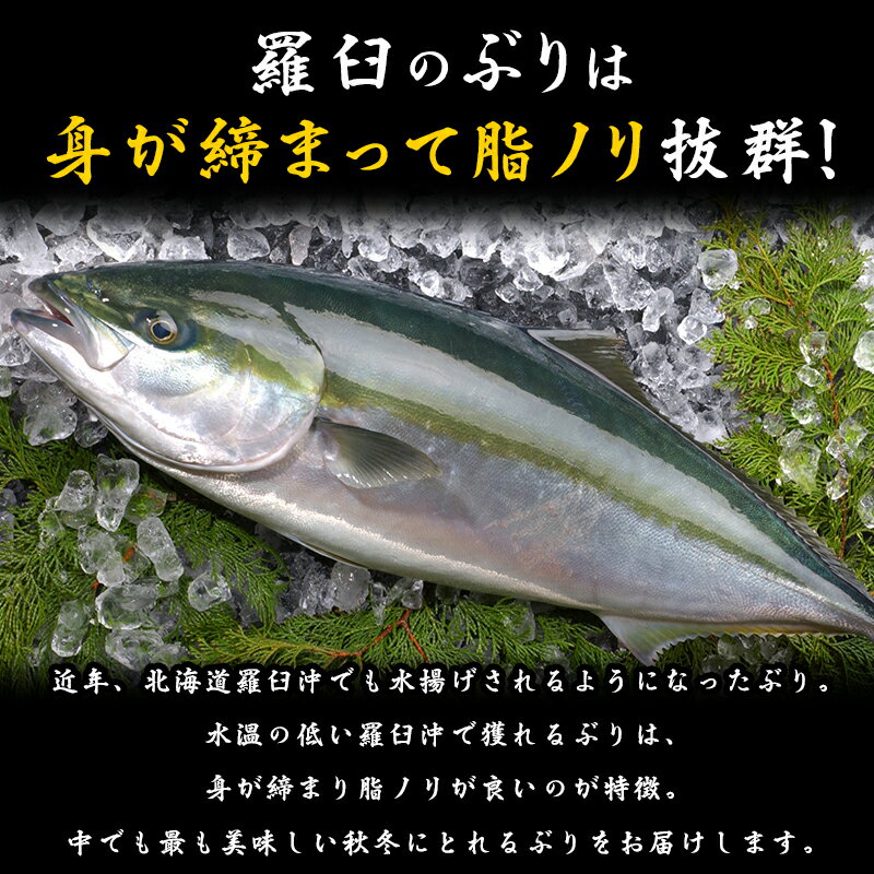 【ふるさと納税】ぶり三昧(2)(半身分) 生産者 支援 応援