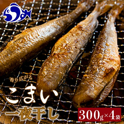 こまい一夜干し1 (300g×4袋) 魚 北海道 海産物 魚介 魚介類 知床 羅臼 干物 肴 焼魚 炙り コマイ 氷下魚 生産者 支援 応援 F21M-391