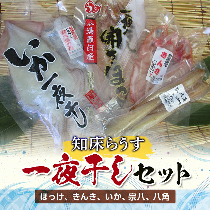 知床らうす 一夜干しセット 魚 北海道 海産物 魚介 魚介類 ほっけ ホッケ キンキ きんき めんめ いか 宗八カレイ 八角 干物 魚 肴 ご飯のお供 おかず 羅臼町 北海道 生産者 支援 応援