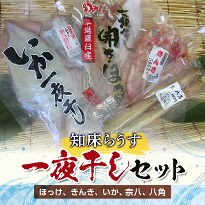 知床らうす一夜干しセット ほっけ きんき いか 宗八 かれい 八角 魚介 魚 干物 肴 北海道 羅臼 海産物 魚介類 生産者 支援 応援 F21M-697