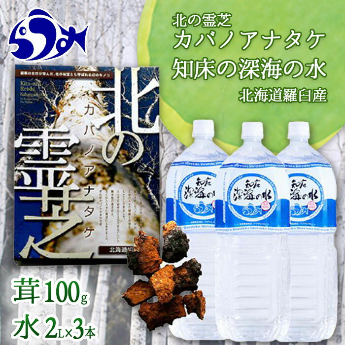 【ふるさと納税】知床深海の水と北の霊芝カバノアナタケ茶セット 海洋深層水 北海道 知床 羅臼 らうす ...