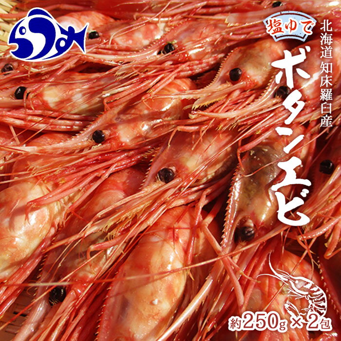 知床羅臼産ぼたんえびボイル250g×2(塩ゆで) エビ 北海道 海産物 魚介類 魚介 甘み ぷりぷり えびみそ サラダ 生産者 支援 応援 F21M-560