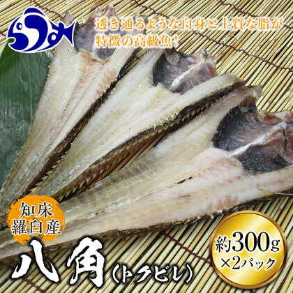 知床羅臼産 八角(ハッカク)トクビレ 300g前後×2パック 魚 北海道 海産物 魚介類 魚介 一夜干し 高級 おかず 甘塩 生産者 支援 応援 F21M-596