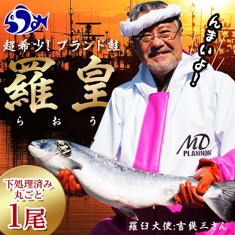 21位! 口コミ数「0件」評価「0」知床羅臼産 鮭 羅皇（らおう）4～5kg 生産者 支援 応援