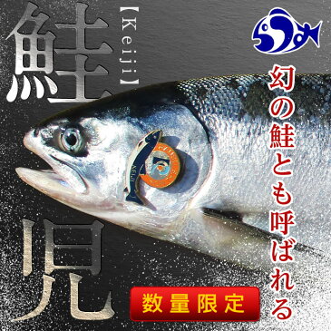 【ふるさと納税】北海道羅臼産 幻の鮭児（白鮭） 1本（2.1~2.5kg）《数量限定》切り身加工 世界遺産知床の海 秋鮭 しゃけ 魚 北海道 海産物 魚介 魚介類 知床 しれとこ 羅臼 らうす 世界自然遺産 人気 ブランド 天然 鮭 さけ サケ シャケ 脂 送料無料 F21M-613