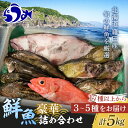  年内発送 知床羅臼産 鮮魚詰め合わせB 約5kg 魚 北海道 海産物 魚介類 魚介 生産者 支援 応援 F22M-287