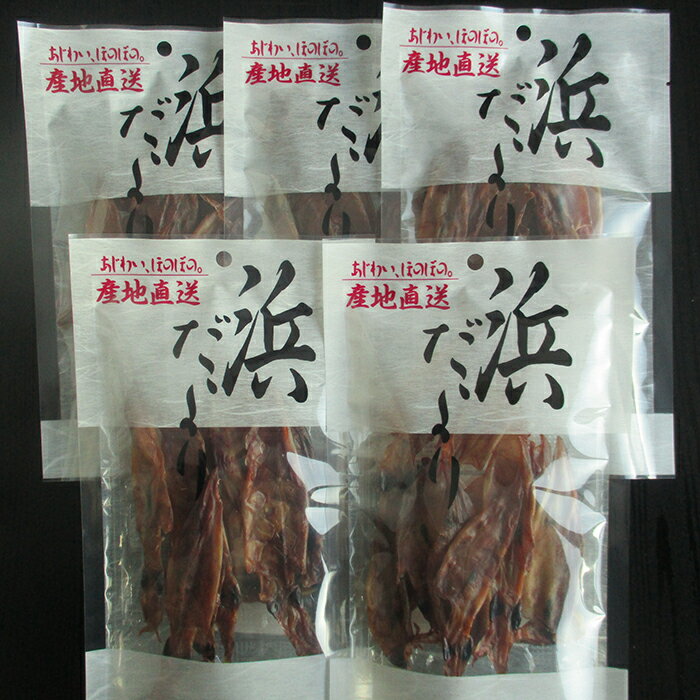 【ふるさと納税】北海道知床羅臼産 無添加手造りやりいかの素干し 40g×5袋 生産者 支援 応援