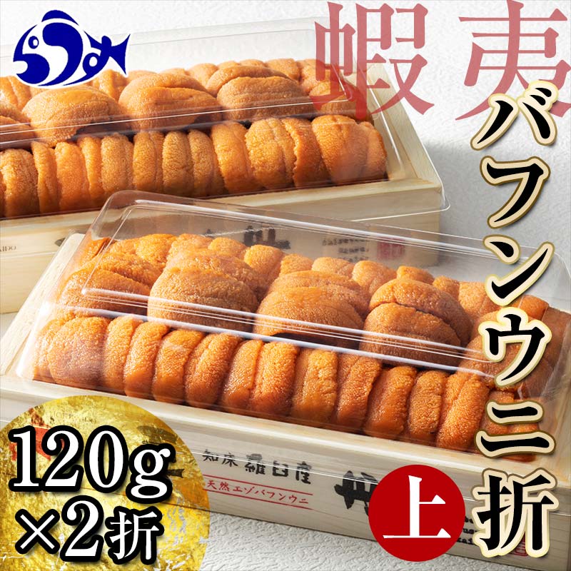 【ふるさと納税】先行予約 羅臼産 折うに 240g （120g×2枚） 北海道 知床 羅臼産 天然 エゾバフンうに（上） エゾバフンウニ ウニ 雲丹 刺身 海鮮丼 北海道 海産物 魚介類 冷蔵 UNI-0104のサムネイル
