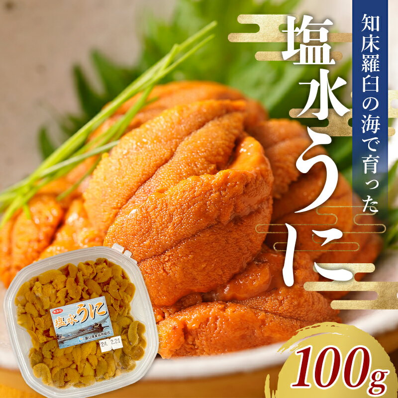 【ふるさと納税】羅臼産 塩水ウニ 中 100g×1 ミョウバン不使用 北海道産 知床羅臼産 雲丹 ご飯のお供 UNI-0135