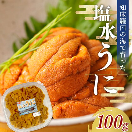 羅臼産 塩水ウニ 中 100g×1 ミョウバン不使用 北海道産 知床羅臼産 雲丹 ご飯のお供 UNI-0135