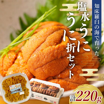 羅臼産 塩水ウニ・折ウニセット 中 100g×1、120g×1 食べ比べ2枚 北海道産 知床羅臼産 雲丹 ご飯のお供 UNI-0137