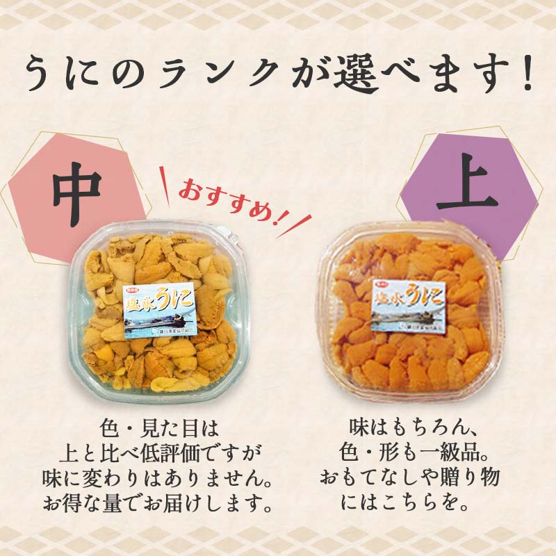 【ふるさと納税】容量と等級が選べる 羅臼産 塩水うに 上 中 100g×1枚 2枚 3枚 ふるさと納税 うに 北海道産 知床 ミョウバン不使用 天然 エゾバフンウニ ウニ 雲丹 刺身 海鮮丼 海産物 魚介類 冷蔵 UNI-0120var