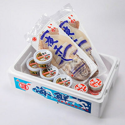 【ふるさと納税】【塩辛 220g×4個・明太子和え 150g×2個・一夜干し 2袋】いか尽くし 3種セット【配送不可地域：離島】【1668492】