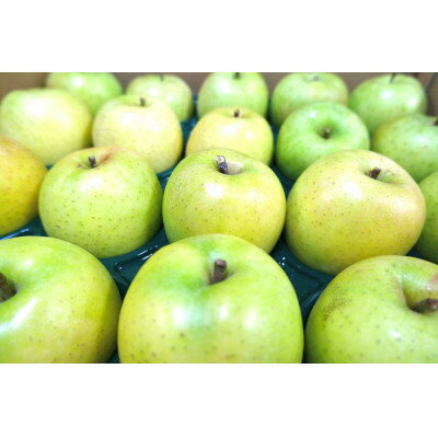 【ふるさと納税】【2026年2月発送予定】平均糖度13度以上! 王林 約10kg おもてなし用【配送不可地域：離島・沖縄県】【1694685】